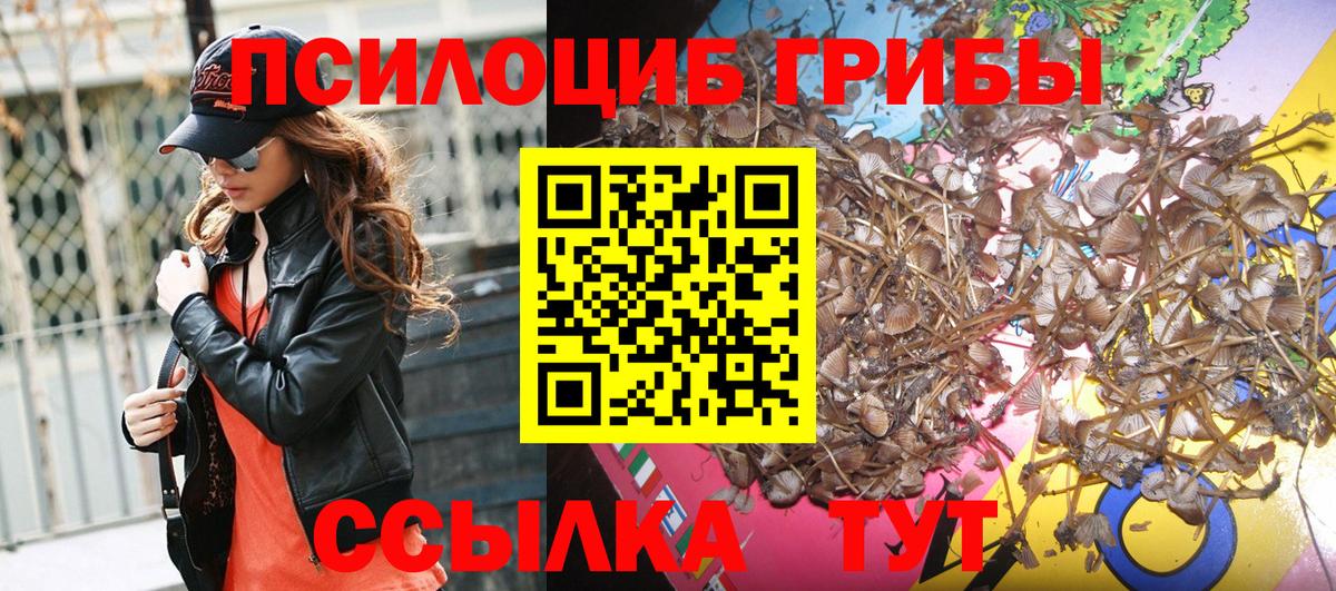 Галлюциногенные грибы MAGIC MUSHROOMS Лосино-Петровский
